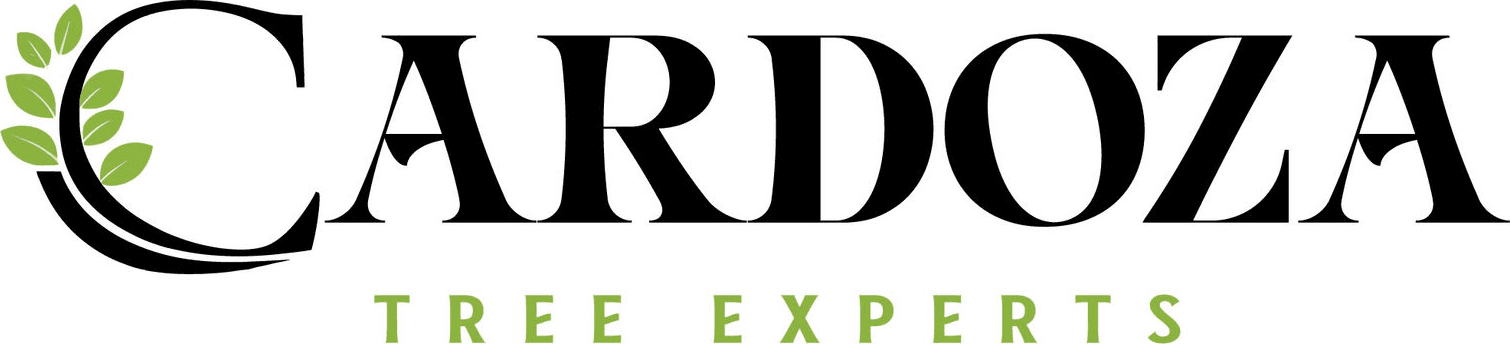 Cardoza Tree Experts
