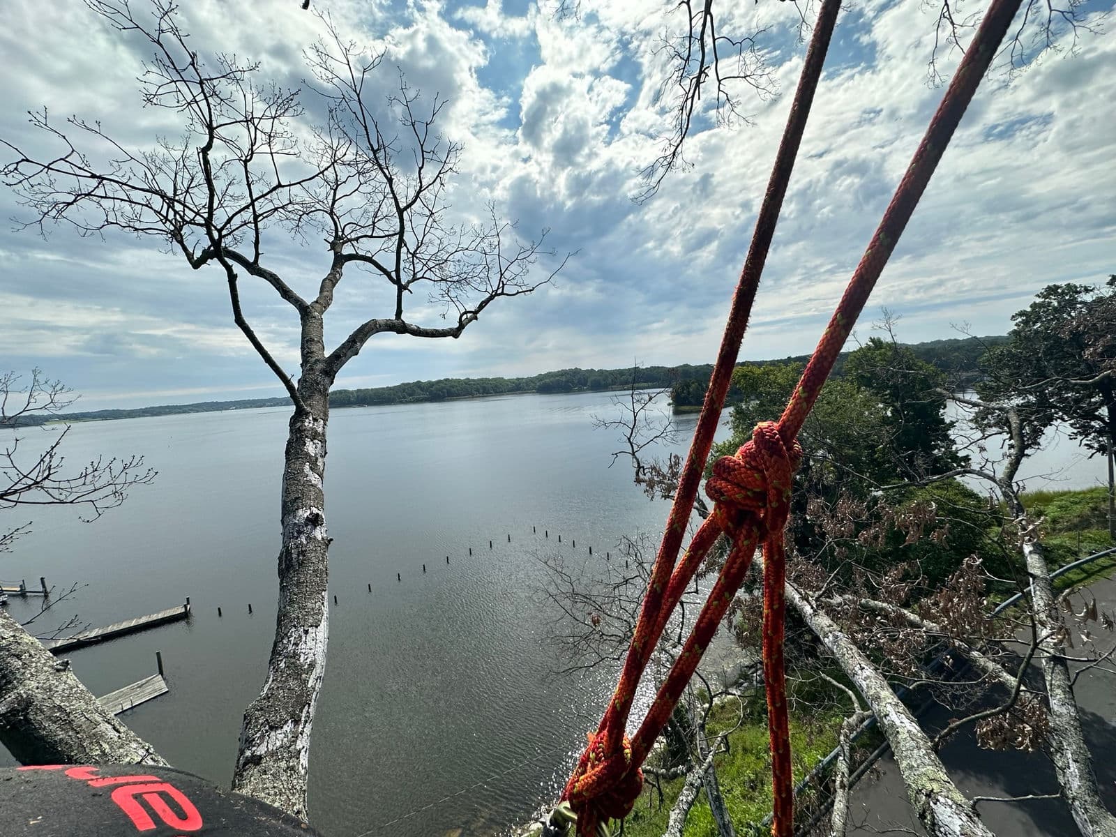 View from a climber’s ropes across water toward a dead waterfront tree